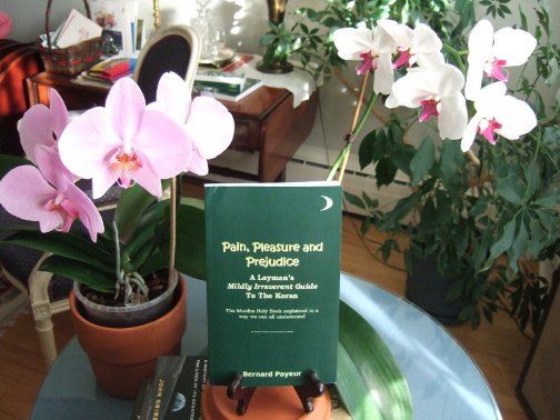 Orchids and the first Pain, Pleasure and Prejudice